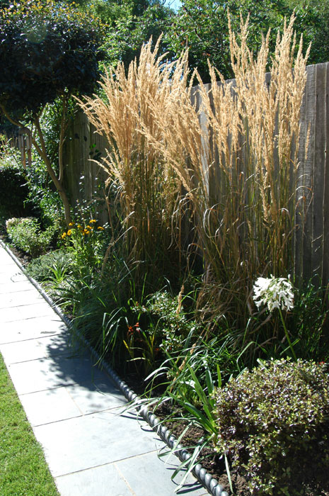 Planting of shrubs and grasses